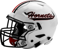 Hickory Hornets logo